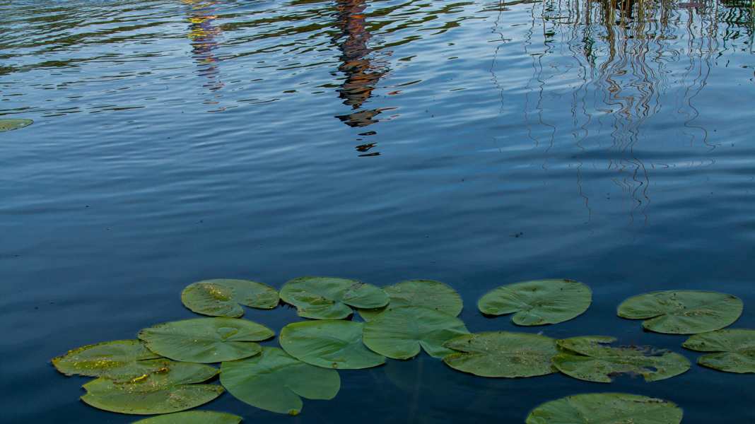 Spot check: With the SUP through Mecklenburg-Vorpommern