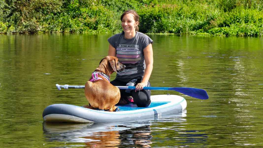 Hund und SUP: Tipps fürs Paddeln mit Hund
