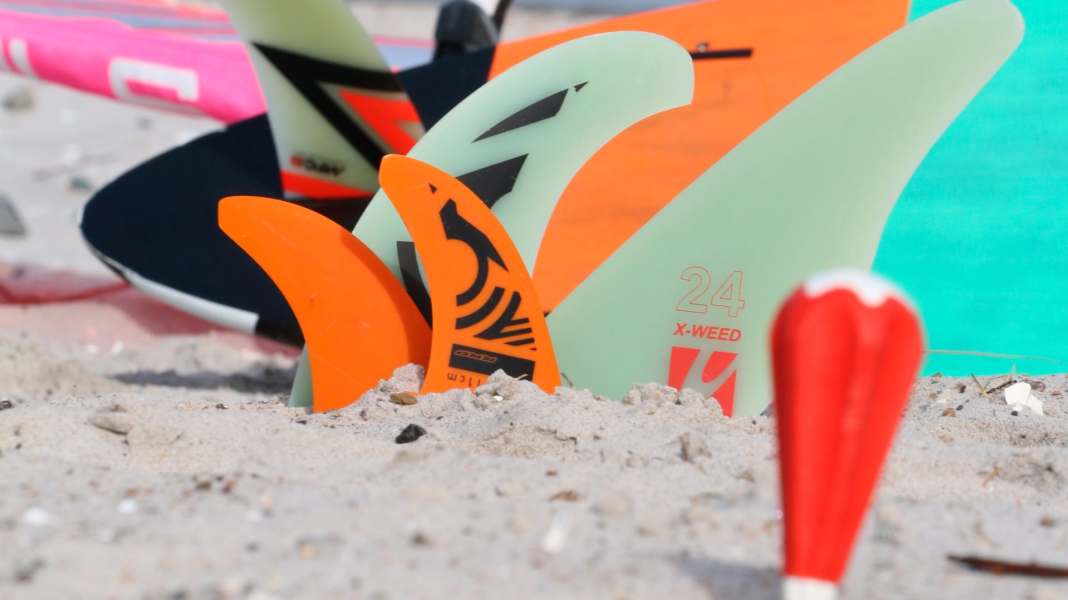 Singlefin, Thruster, Seegras – so findest du die richtige Finnenlänge für dein Freestyle-Waveboard
