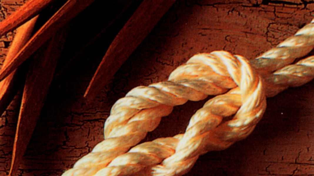 Die wichtigsten Knoten