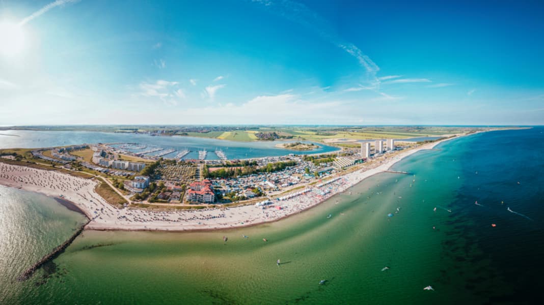 Surf-Festival - das volle Programm!