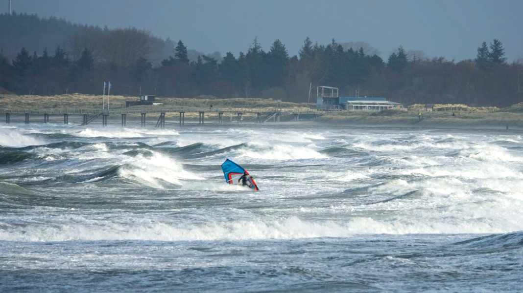 Nationalpark Ostsee: Das war los auf dem Strategietreffen in Kiel