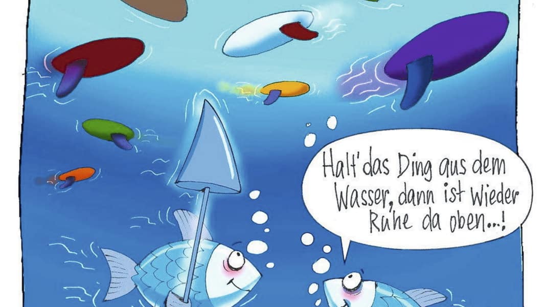 Geht’s noch?!: Was denken eigentlich Fische über Windsurfer?
