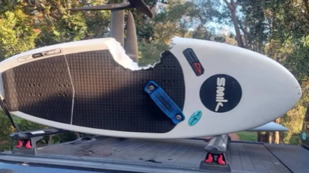 Wingsurf World: Wingfoiler attacked by shark