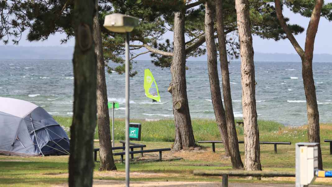 Camping-Tipps: Campingplätze zum Surfen - vom Bett aufs Brett in Dänemark