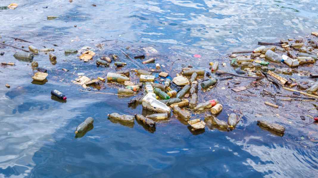 Marine protection: "Encouraging results" of the UN Ocean Conference
