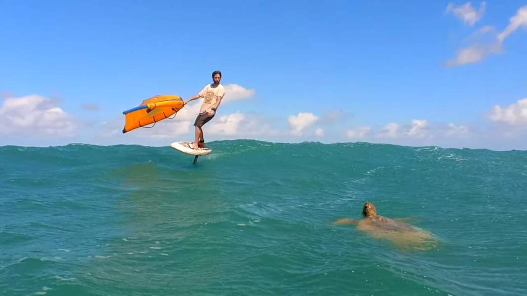 Endless Winging - turtles, shorts and endless waves