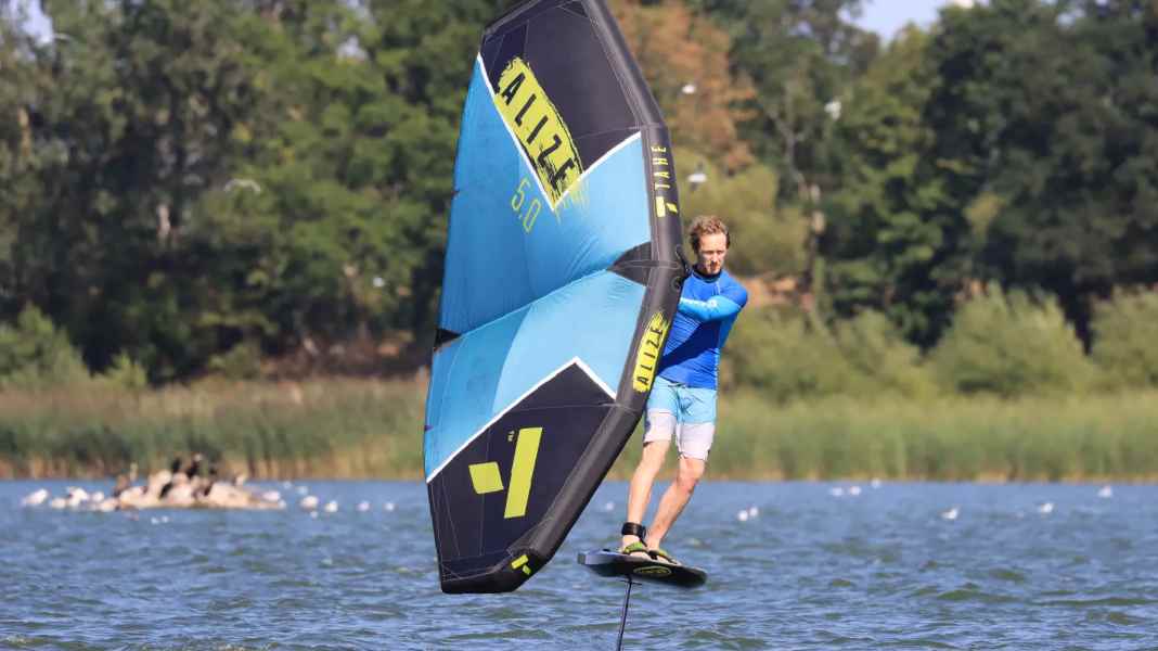 Tahe Alizé: The affordable all-round wing in a comparison test