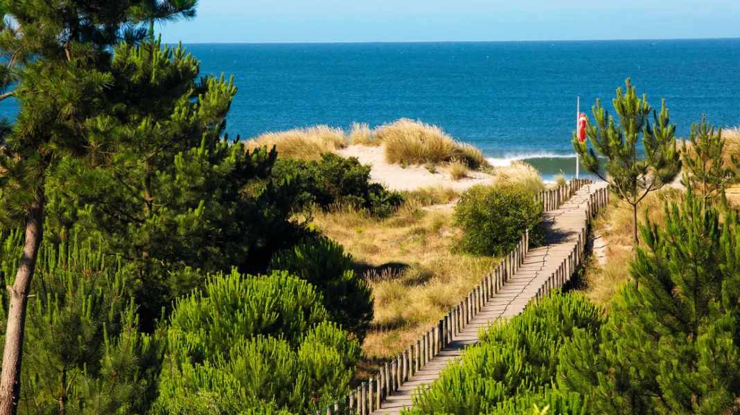 Portugal: Viana Do Castelo - Wingsurf-Traumspot fürs Frühjahr