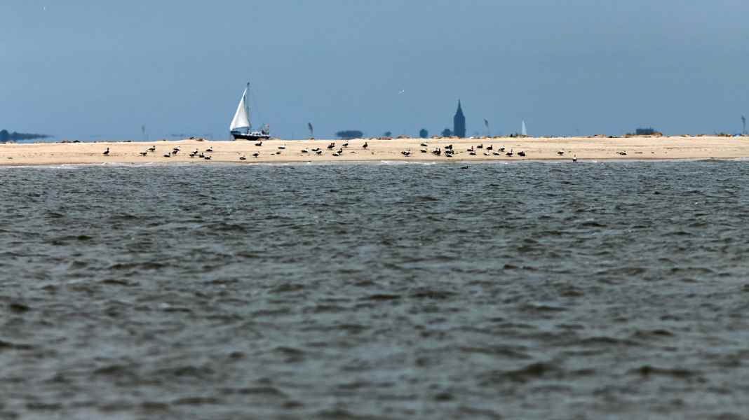 Neue Befahrensregeln an der Nordsee: Das müssen Wattenmeer-Segler wissen