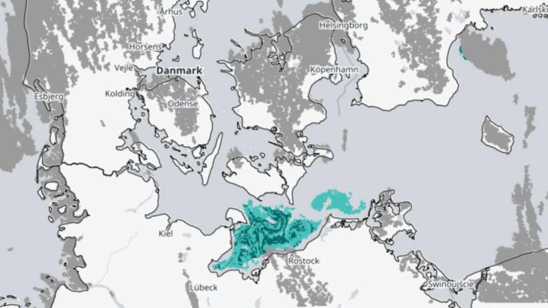 Les algues bleues : La prolifération des algues touche aussi la côte allemande de la mer Baltique