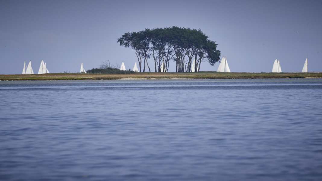 Nationalpark Ostsee: Konsultationen mit Seglern beendet, jetzt entscheiden die Politiker