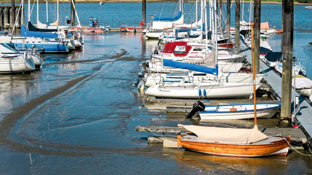 Lower Elbe: Fight against siltation - regional sailing associations decide on action alliance