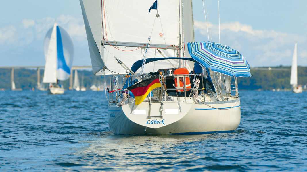 Cambiamenti climatici: il Mare del Nord e il Mar Baltico sono colpiti da "ondate di calore marino".