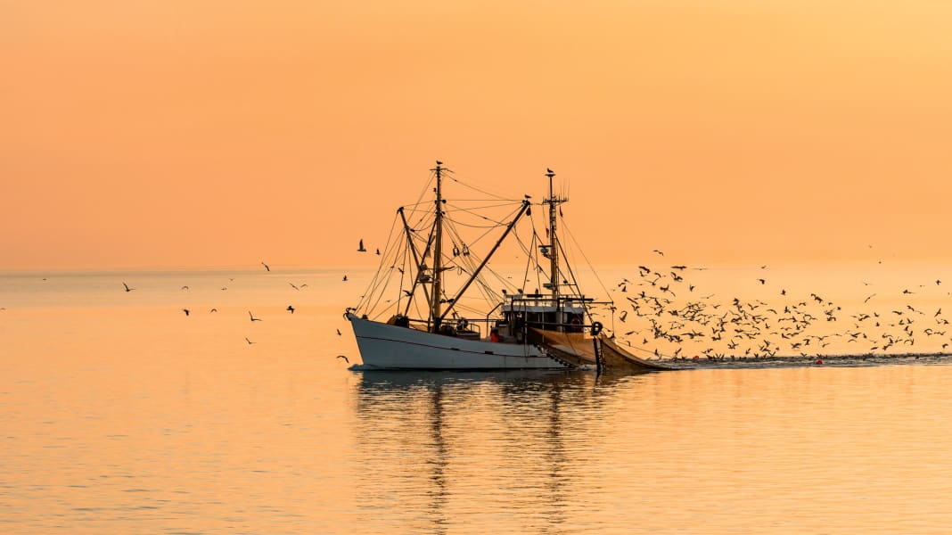 Fishing nets: These fishing systems exist and how to avoid them