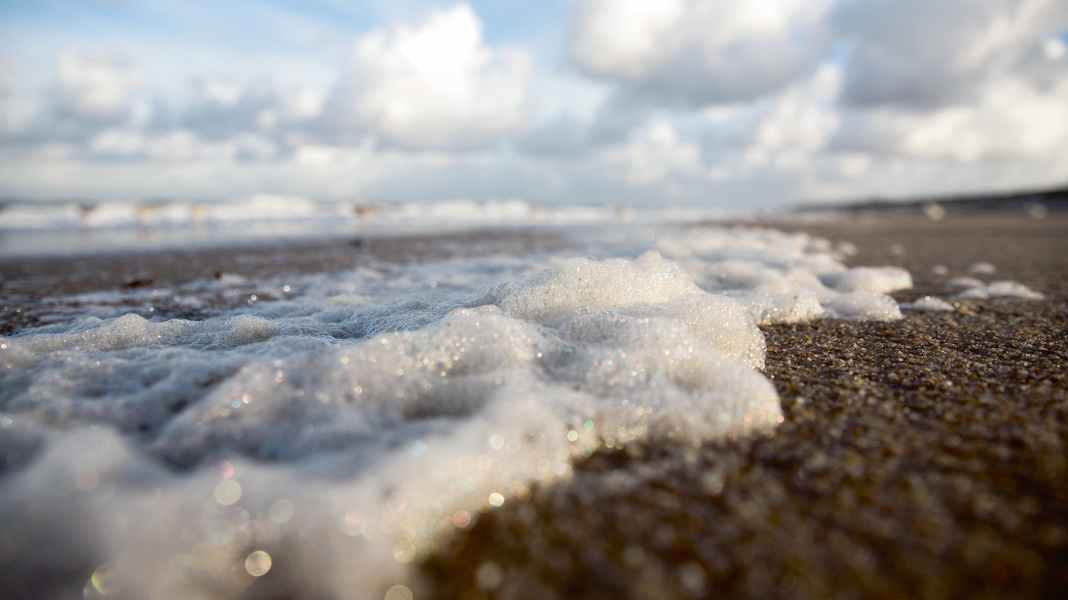 Baltic Sea Protection Action Plan: State government provides information about the project at events