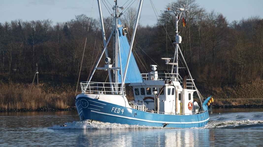 Interview: Are recreational skippers actually too reckless?