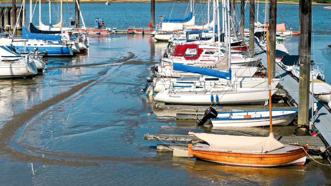 Lower Elbe sailing area: worries at the start of the season - sailors fight against siltation in their harbours