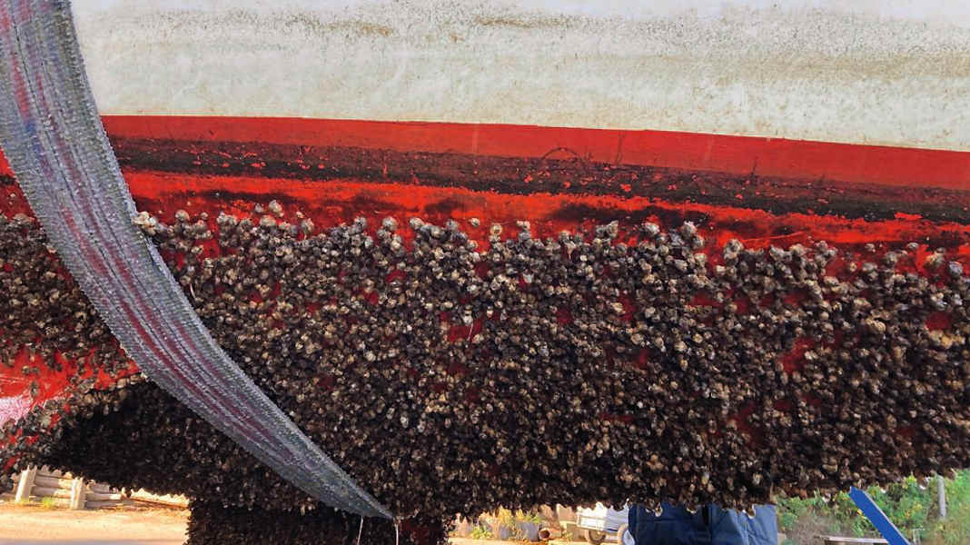 Fouling protection: All about antifouling systems