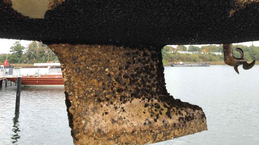 Protection against fouling: Biocide-free antifouling - yes or no? The fouling atlas provides information