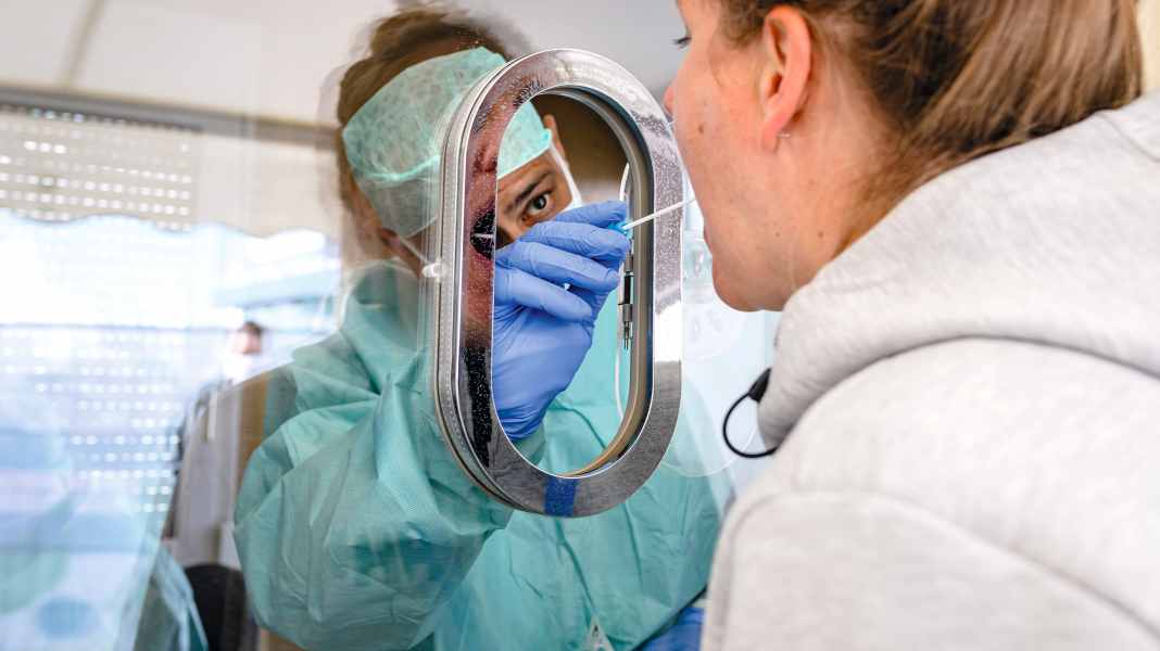 Corona: test corona online per equipaggi e proprietari di barche a noleggio