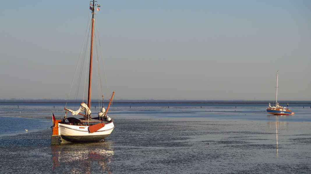 German Wadden Sea: "We're already in a sailing desert here anyway"