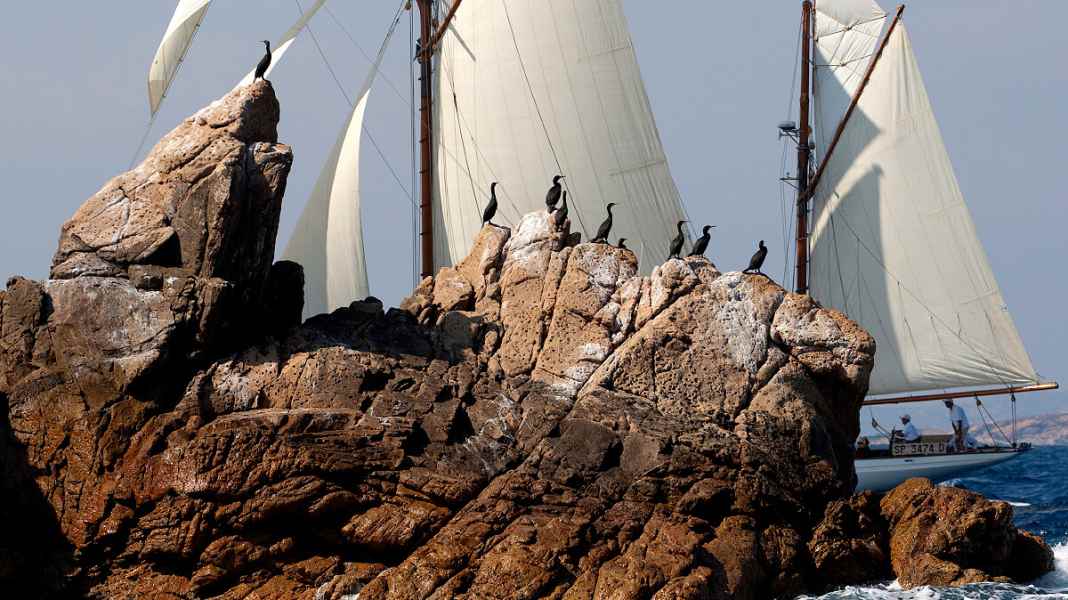 Classic: International regatta calendar