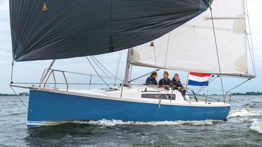 Pointer 25: Ehrliches Multitalent aus Holland