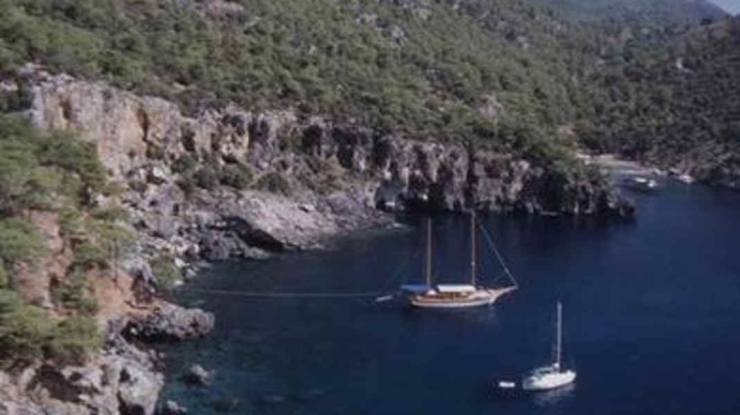 Turquie : ne plus attacher les lignes de terre aux arbres