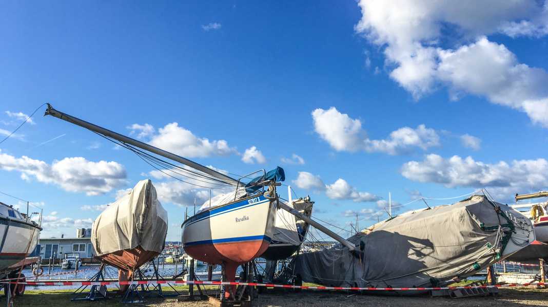 Storms: Pictures of the destruction after storm "Herwart"