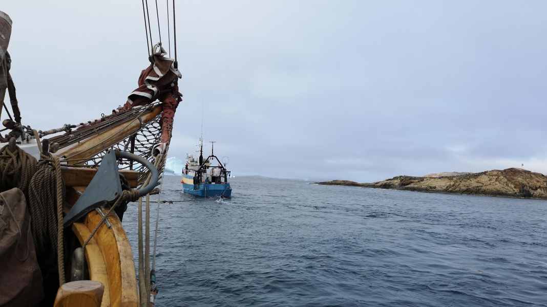 Crociera estrema: ancora una volta, un'avaria costringe la "Dagmar Aaen" a fermarsi