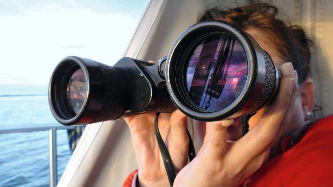 Ausrüstungstest: Ferngläser im Test: kleine Optik, großes Bild