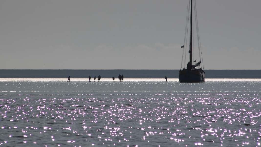 Revier-Info: Yachtcharter Niederlande: Wattensee