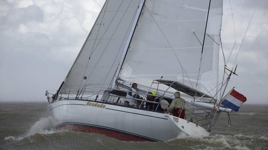 "Saudade": The "red sow" in retirement