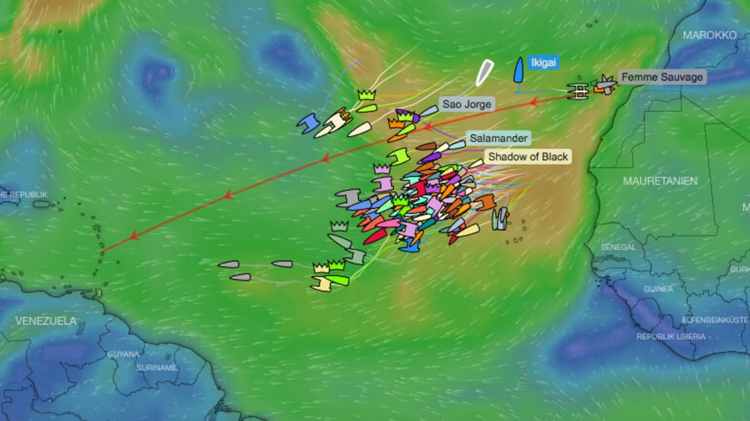 Catastrophe maritime : un marin de l'ARC meurt dans un accident sur l'Atlantique
