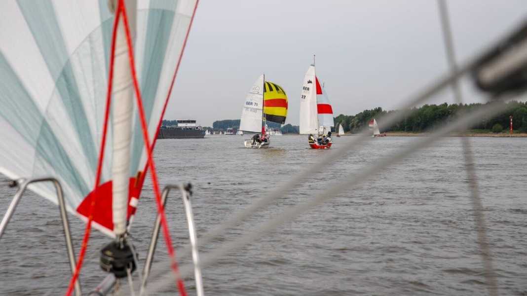 100 Jahre Rheinwoche: 185 Kilometer flussabwärts: Eine H-Jolle gewinnt