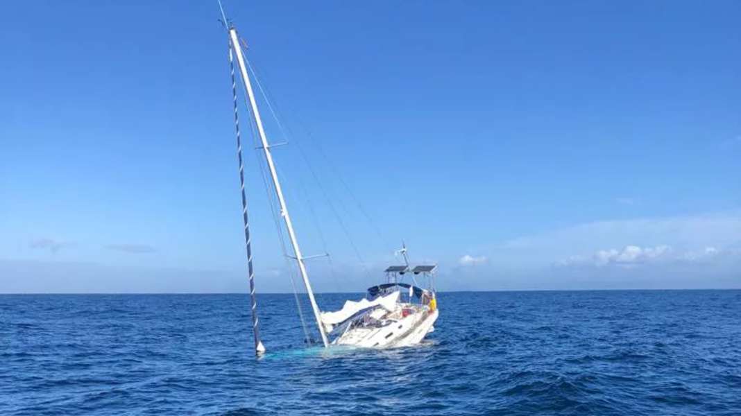 Wal-Attacken: Segelyacht sinkt nach Orca-Angriff vor Portugal
