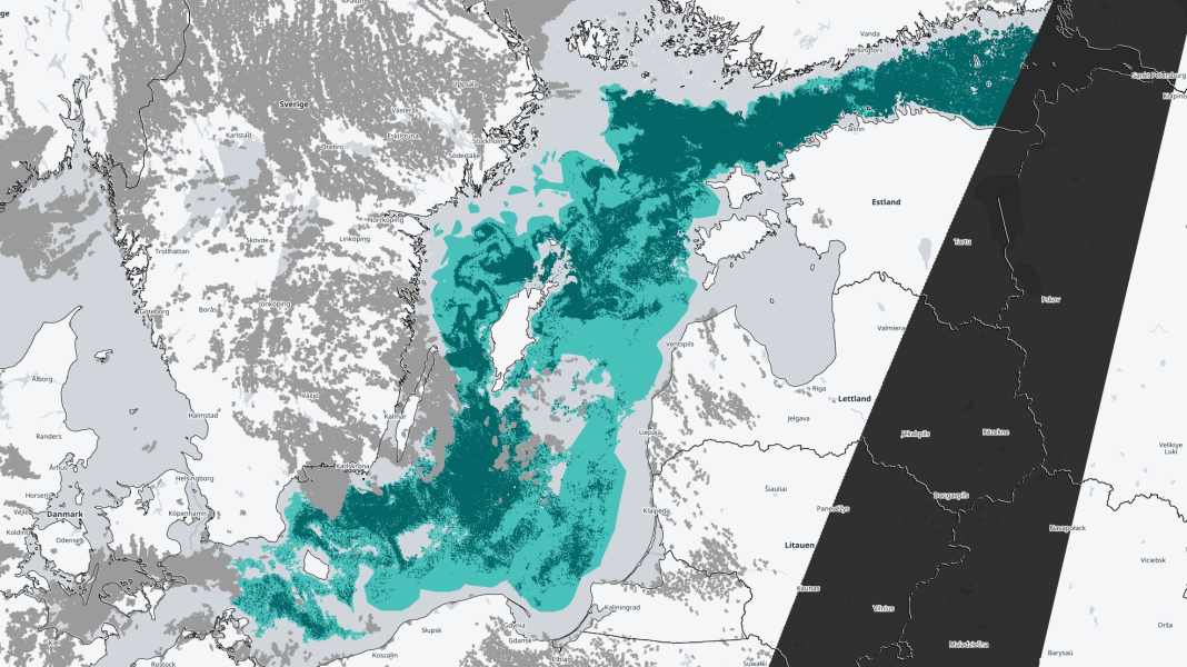 Environment: Algal bloom in large parts of the Baltic Sea