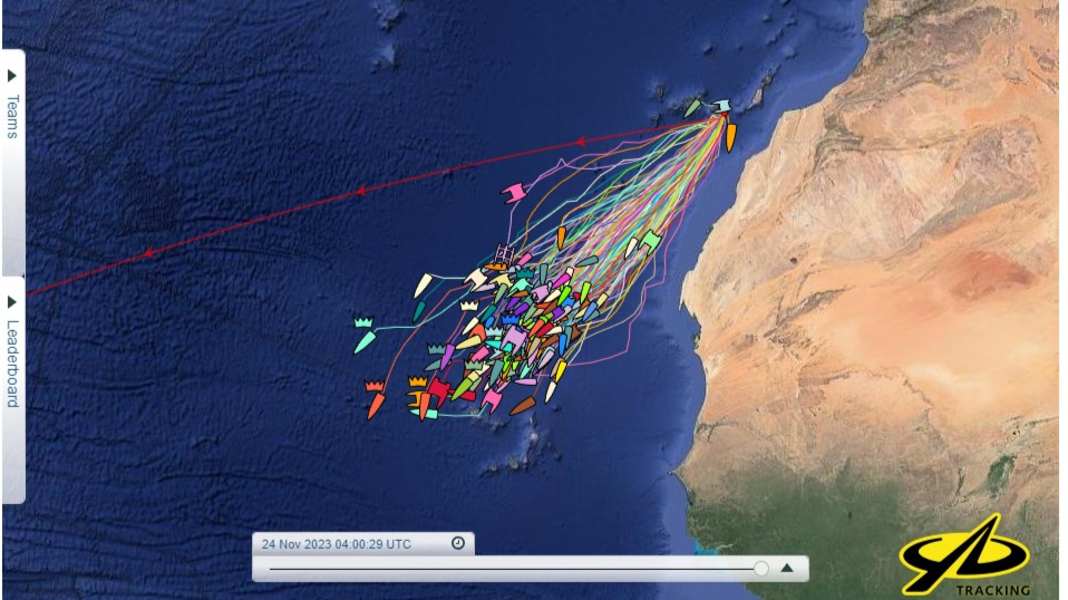 ARC 2023: Falken, Fische & Forscher – Alltag auf dem Atlantik