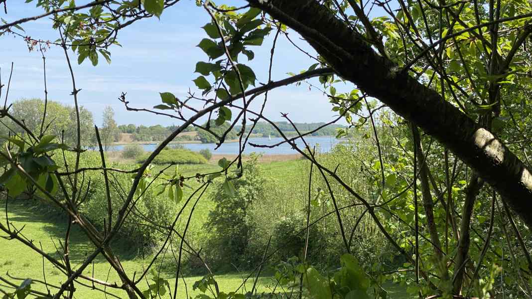 Wilfried Erdmann: Letzter Ankerplatz an der Schlei