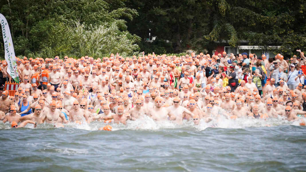 Rügen: Sundschwimmer festeggia il suo 60° anniversario: attenzione in acqua!