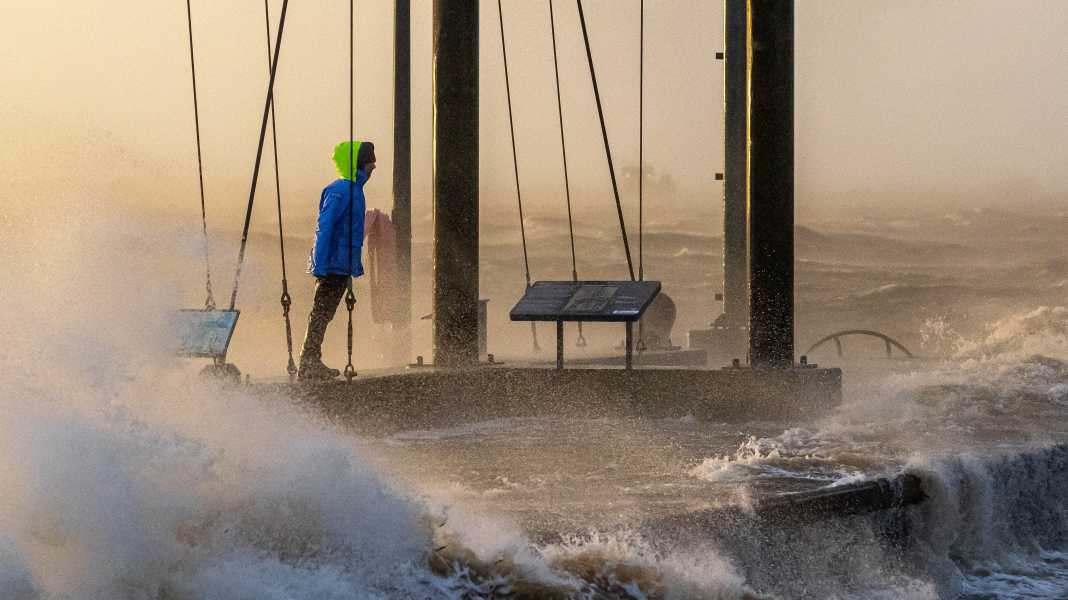 Sturmtief “Zoltan”: Kuh-Sturm als Glücksfall für die Ostsee