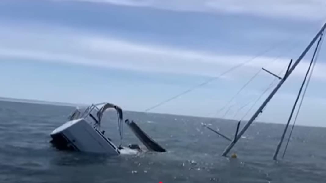 Seenot: Orca-Angriff - Segelyacht vor Lissabon versenkt