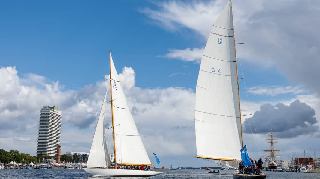 Settimana Travemünde 2025: velocità e spettacolo - e una megattera?