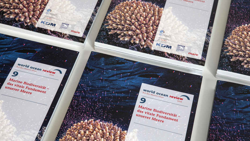 World Ocean Review 2025: la protezione dell'ambiente marino può funzionare, se attuata correttamente