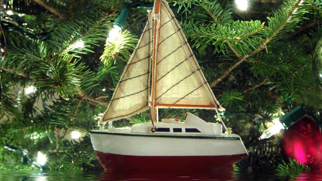 1st Saturday in Advent: DSV vouchers for exciting seminars at the DSV Academy