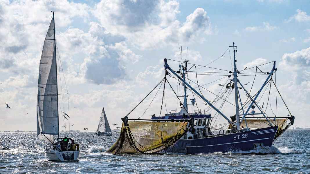 Right of way: Court tightens right of way rules for sailors