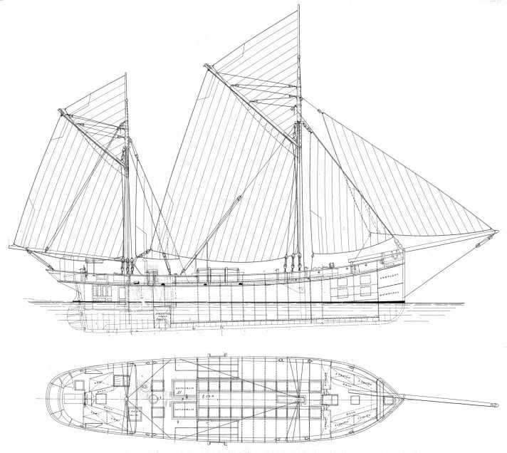yacht/bebo-belle-amie-2021-ssc-belle-amie-segelriss_80dc73498eb242c636b27976e2152d6d
