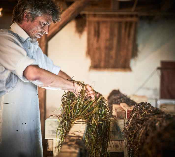 Dittmann étale l'herbe lavée pour la faire sécher