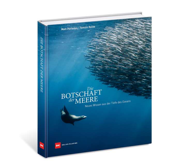 yacht/100172590_982755824ddbd574c8ec4ad89a55ec21